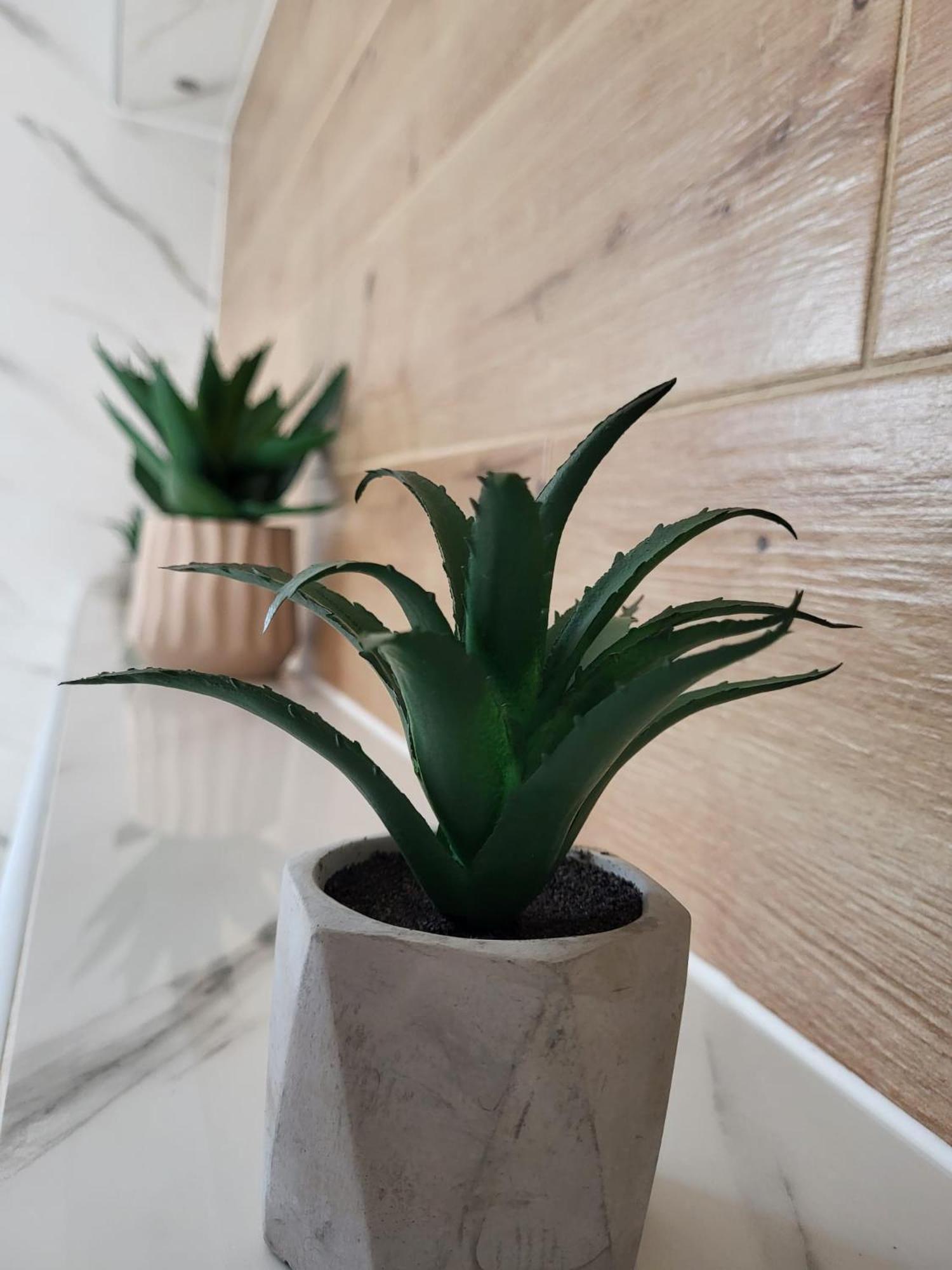 Apartment Dado 슬루니 외부 사진